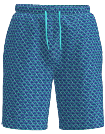 ABSport Men's Swim Trunks Viking Explorer Print - men's swim trunks - UPF 50+ performance fabric