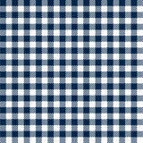 AB SPORT Women's Gingham Print Back Pleat Golf Skirt BSKG05-GINGS
